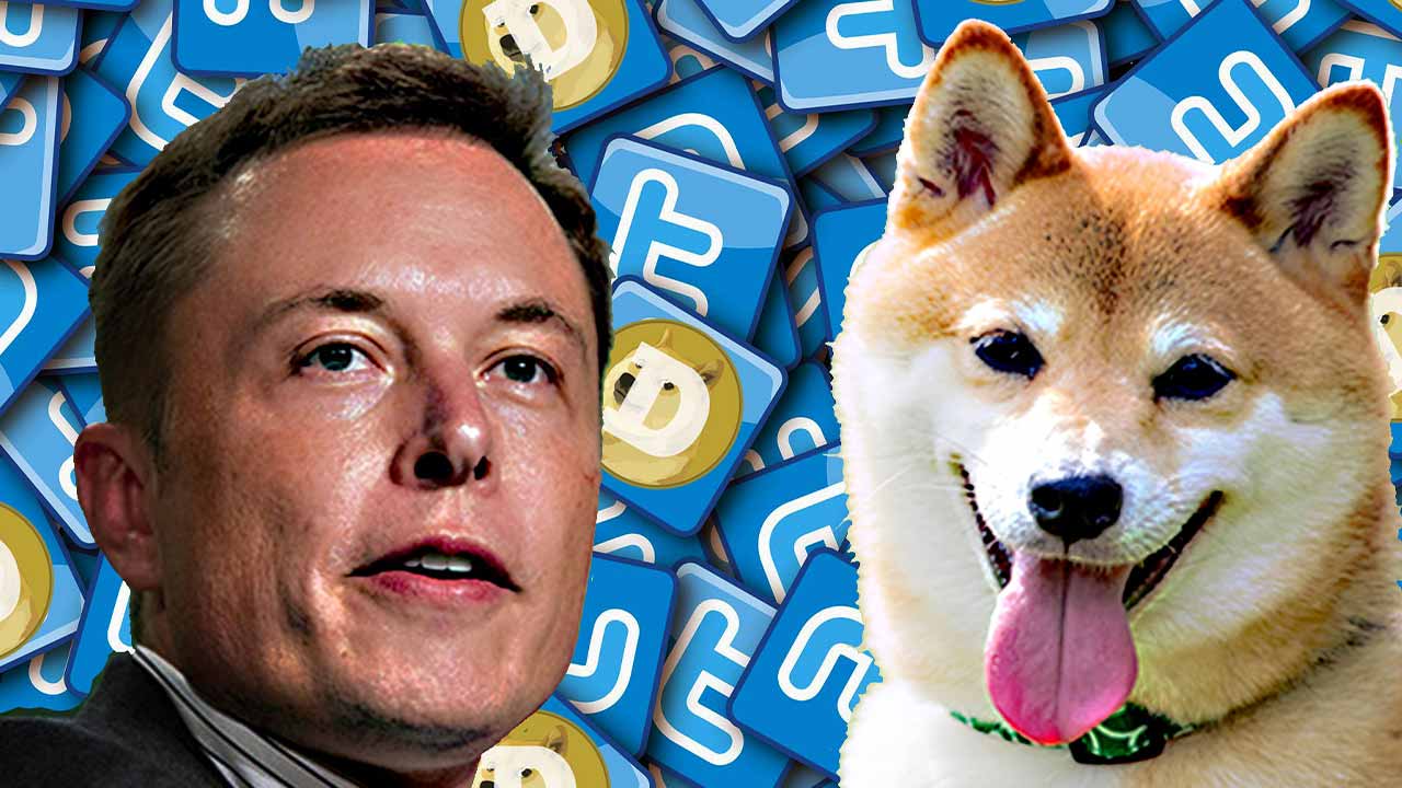 bitpie钱包下载|DOGE 倡导者 Elon Musk 拥有多少个 SHIB？